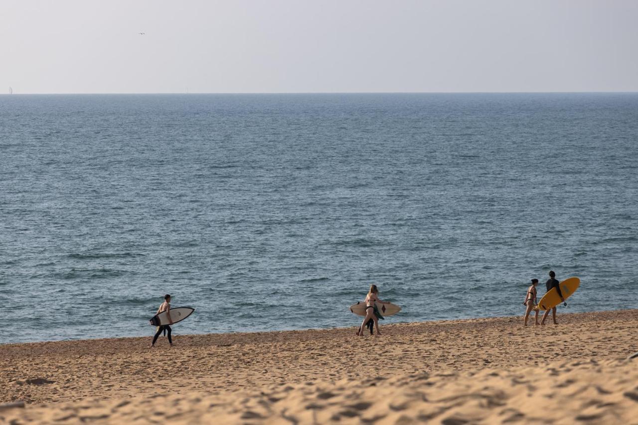 Village Vacances La Foret Des Landes タルノス エクステリア 写真