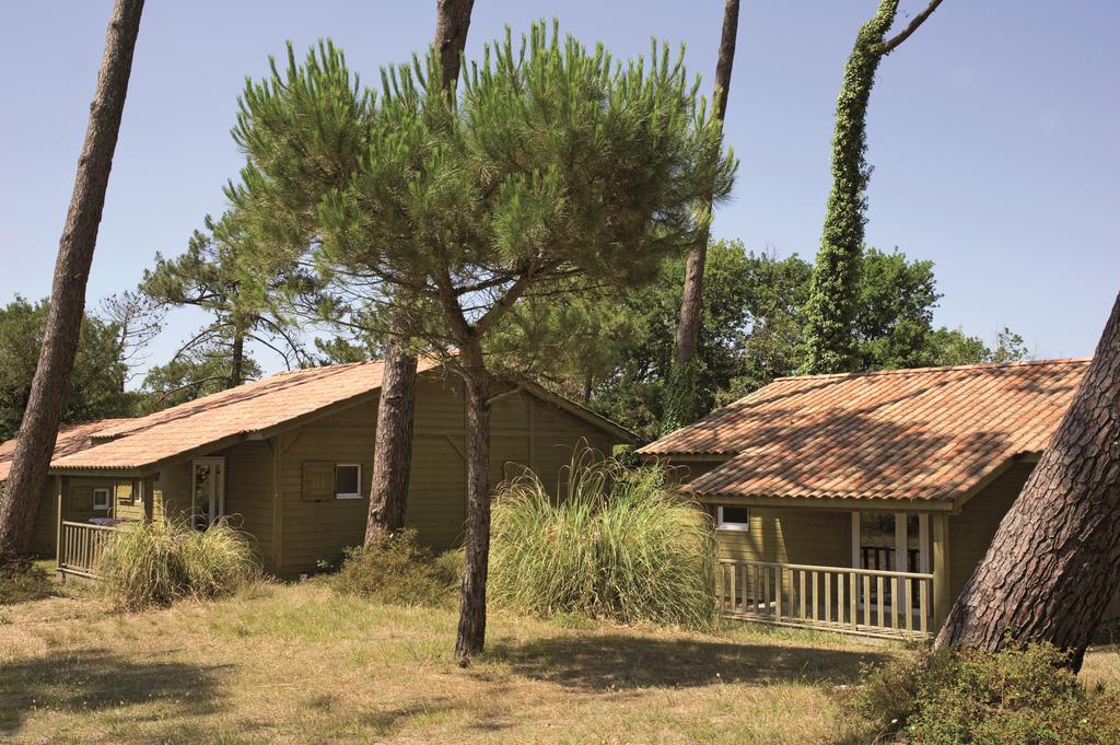Village Vacances La Foret Des Landes タルノス エクステリア 写真